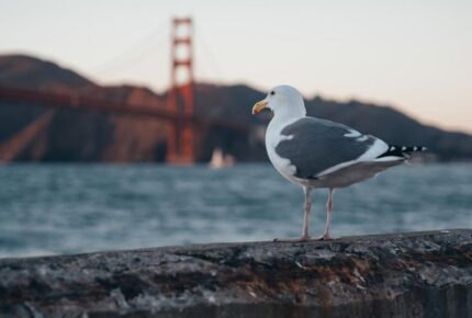 photo 1502630859934 b3b41d18206c